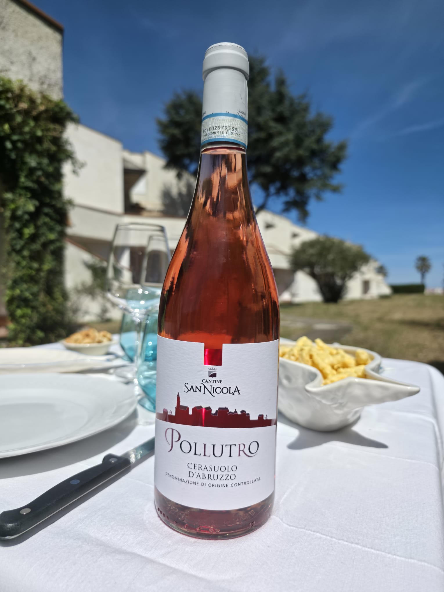 Etichetta del Pollutro Cerasuolo d'Abruzzo DOC - Cantine San Nicola
